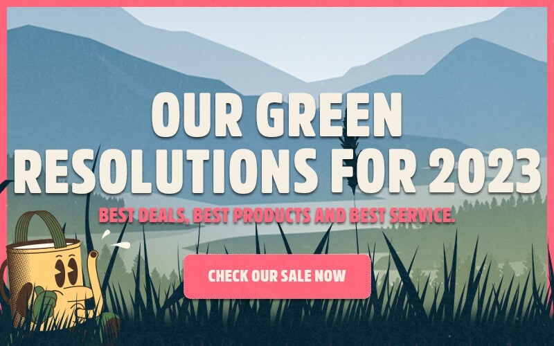 Our Green Resolutions for 2023