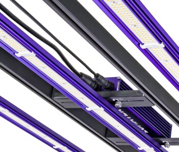 Prodotto di seconda scelta - LUMATEK ZEUS 300W Pro 3.1 LED spettro completo
