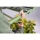 Lampada LED per coltivazione Treegers GL650W a spettro completo