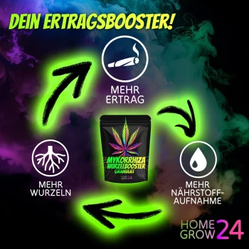 Homegrow24 Granulato di micorriza 100 g