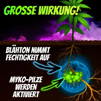 Homegrow24 Granulato di micorriza 100 g