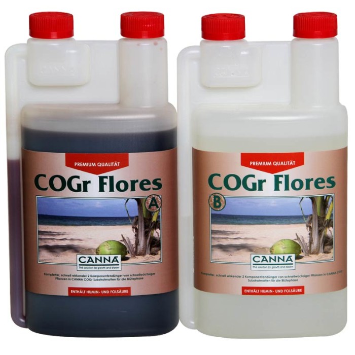 CANNA COGr Flores A+B per 1 litro