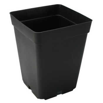 Standard Vasi quadrato 5,7L - 11 L