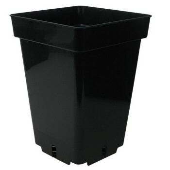 Standard Vasi quadrato 5,7L - 11 L