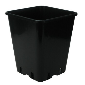 Standard Vasi quadrato 5,7L - 11 L
