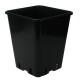 Standard Vasi quadrato 5,7L - 11 L