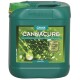 CANNA CANNACURE Controllo dei parassiti 750ml, 1L, 5L