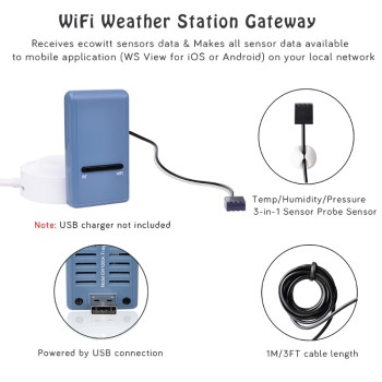 Misuratore di suolo Ecowitt Gateway Wi-Fi con sensore