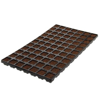 Eazy Plug dado di coltivazione - 12, 24, 77, 150 pz.