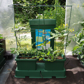 AutoPot Easy2grow sistema di irrigazione 1-6 piante